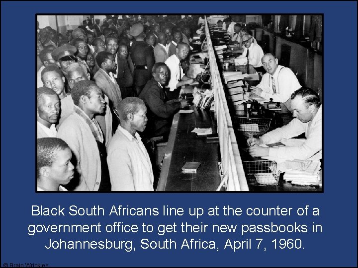 Black South Africans line up at the counter of a government office to get Black South Africans line up at the counter of a government office to get