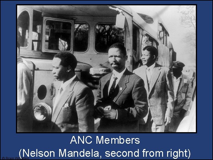 ANC Members (Nelson Mandela, second from right) © Brain Wrinkles ANC Members (Nelson Mandela, second from right) © Brain Wrinkles