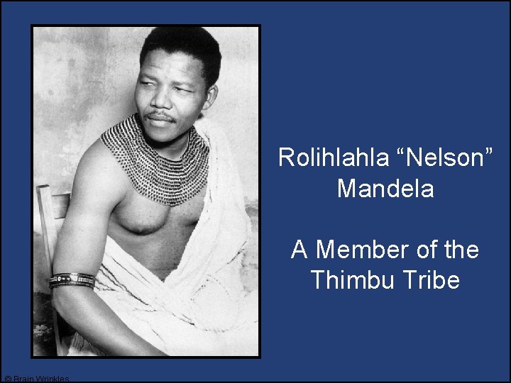 Rolihlahla “Nelson” Mandela A Member of the Thimbu Tribe © Brain Wrinkles Rolihlahla “Nelson” Mandela A Member of the Thimbu Tribe © Brain Wrinkles