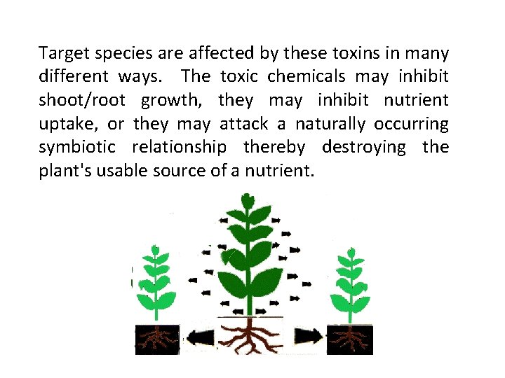 Target species are affected by these toxins in many different ways. The toxic chemicals