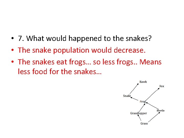  • 7. What would happened to the snakes? • The snake population would