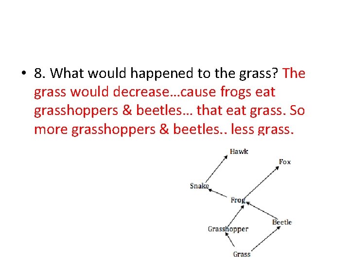  • 8. What would happened to the grass? The grass would decrease…cause frogs