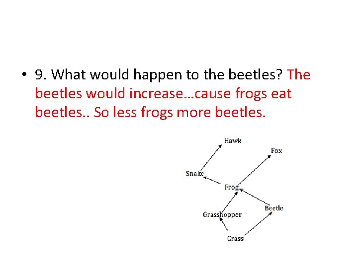  • 9. What would happen to the beetles? The beetles would increase…cause frogs