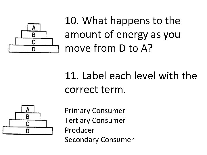 10. What happens to the amount of energy as you move from D to