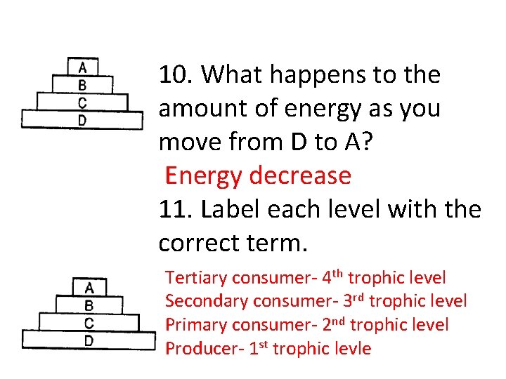 10. What happens to the amount of energy as you move from D to