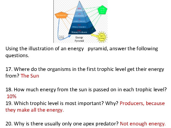 Using the illustration of an energy pyramid, answer the following questions. 17. Where do