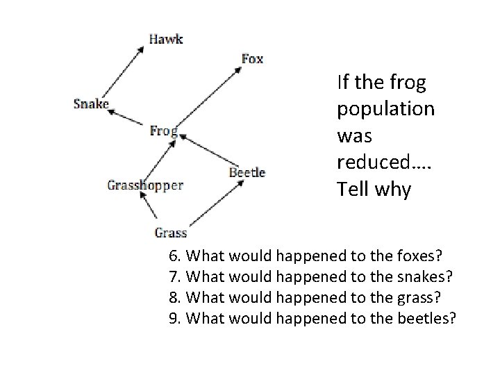 If the frog population was reduced…. Tell why 6. What would happened to the