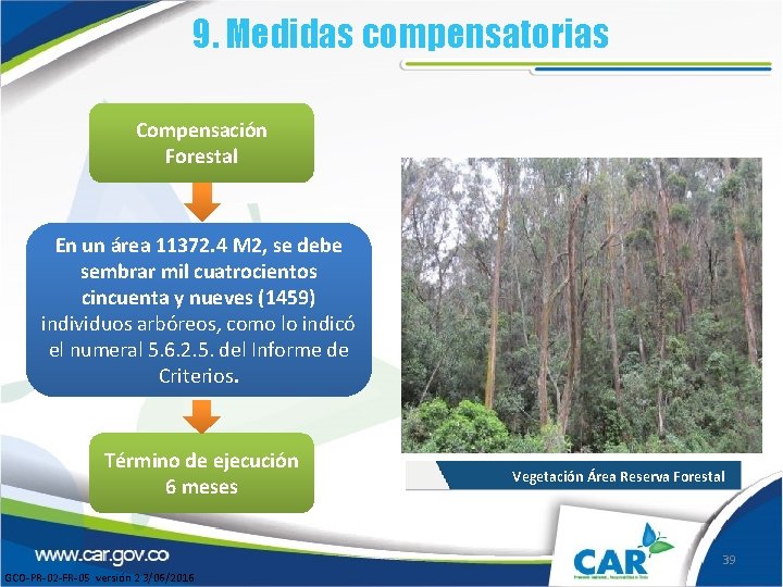 9. Medidas compensatorias Compensación Forestal En un área 11372. 4 M 2, se debe 9. Medidas compensatorias Compensación Forestal En un área 11372. 4 M 2, se debe