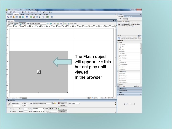 The Flash object will appear like this but not play until viewed In the