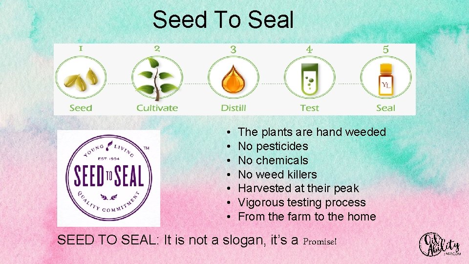 Seed To Seal • • The plants are hand weeded No pesticides No chemicals