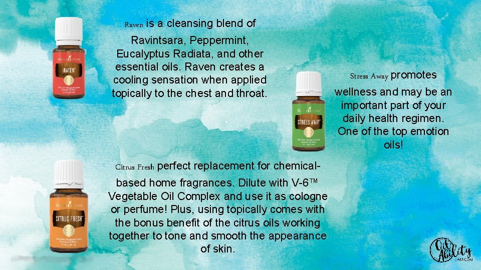 Raven is a cleansing blend of Ravintsara, Peppermint, Eucalyptus Radiata, and other essential oils.