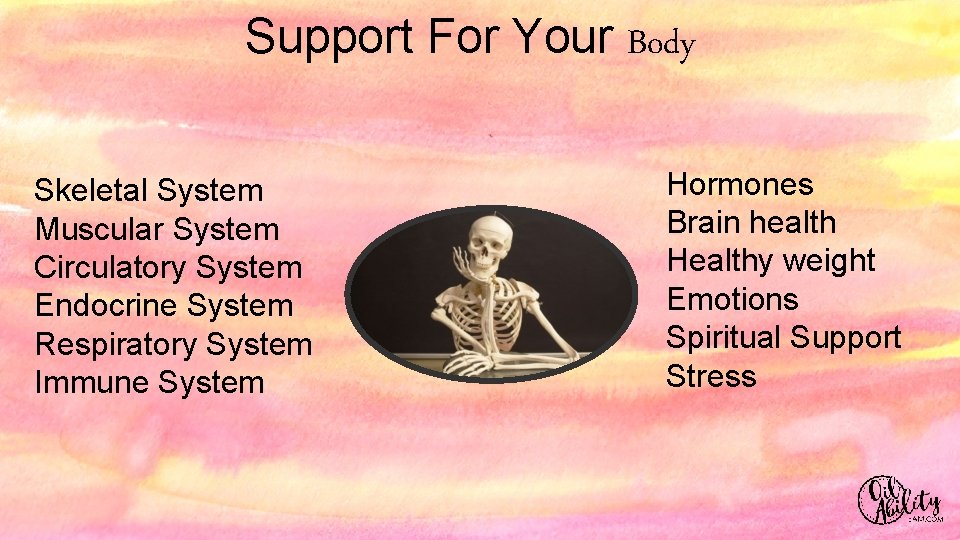 Support For Your Body Skeletal System Muscular System Circulatory System Endocrine System Respiratory System