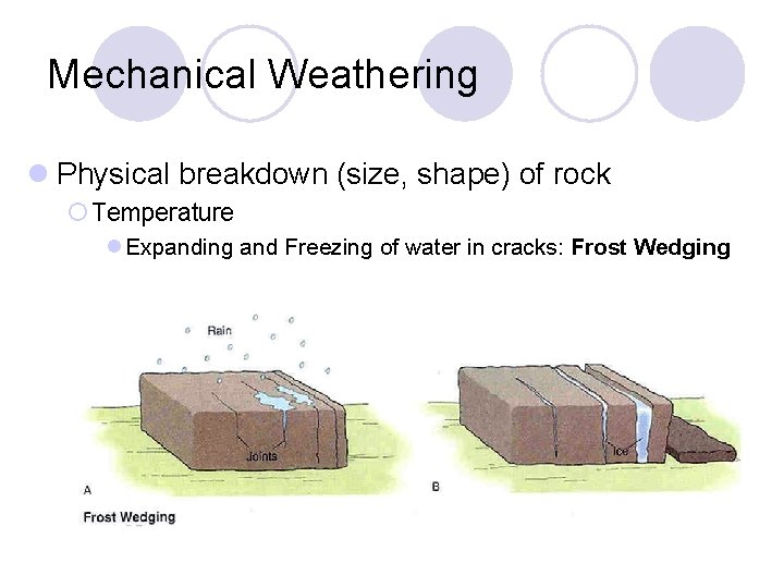 Mechanical Weathering l Physical breakdown (size, shape) of rock ¡ Temperature l Expanding and