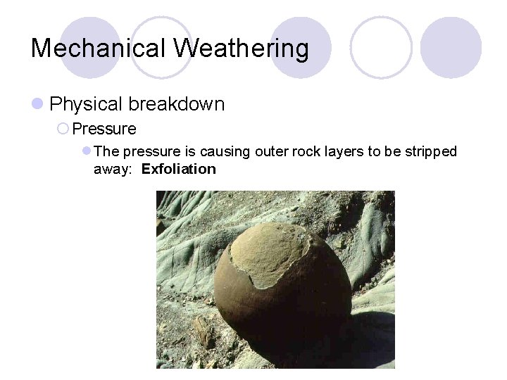 Mechanical Weathering l Physical breakdown ¡ Pressure l The pressure is causing outer rock