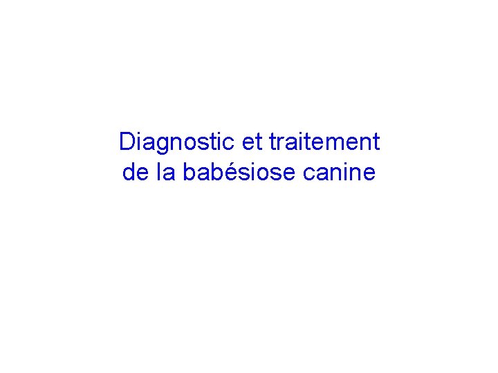 Diagnostic et traitement de la babésiose canine 