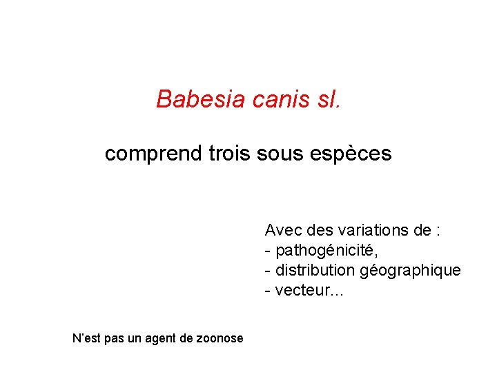 Babesia canis sl. comprend trois sous espèces Avec des variations de : - pathogénicité,