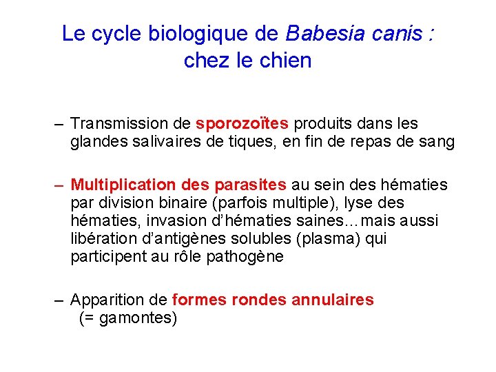 Le cycle biologique de Babesia canis : chez le chien – Transmission de sporozoïtes
