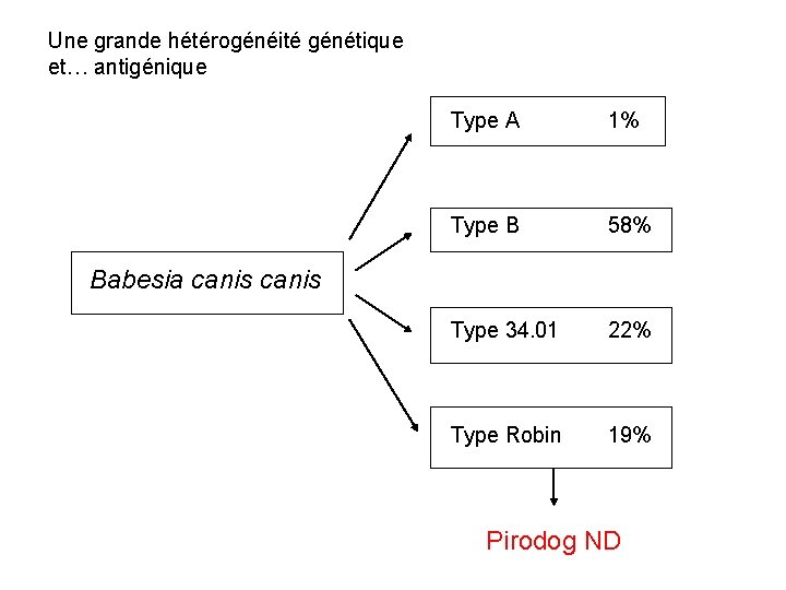 Une grande hétérogénéité génétique et… antigénique Type A 1% Type B 58% Type 34.