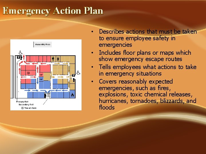 Emergency Action Plan • Describes actions that must be taken to ensure employee safety