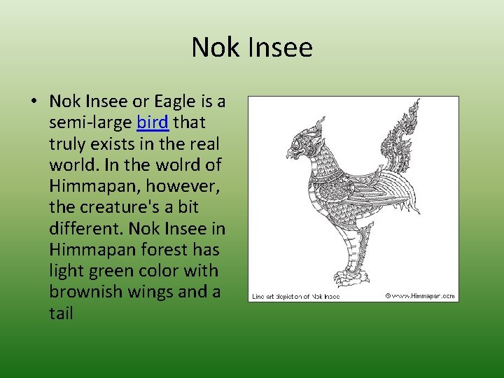 Nok Insee • Nok Insee or Eagle is a semi-large bird that truly exists