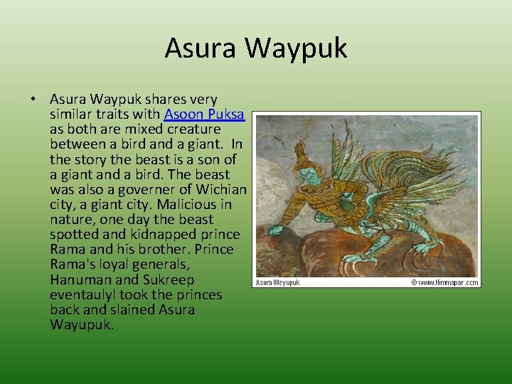 Asura Waypuk • Asura Waypuk shares very similar traits with Asoon Puksa as both
