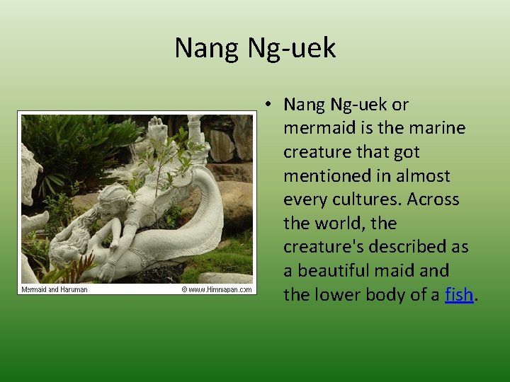 Nang Ng-uek • Nang Ng-uek or mermaid is the marine creature that got mentioned