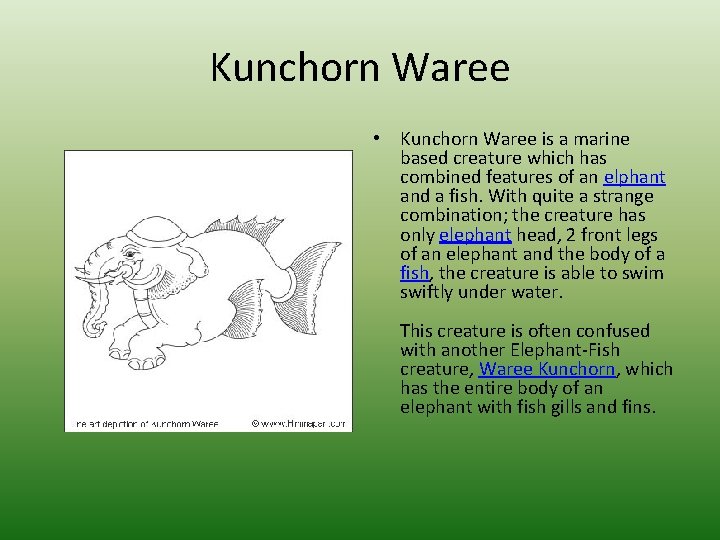 Kunchorn Waree • Kunchorn Waree is a marine based creature which has combined features