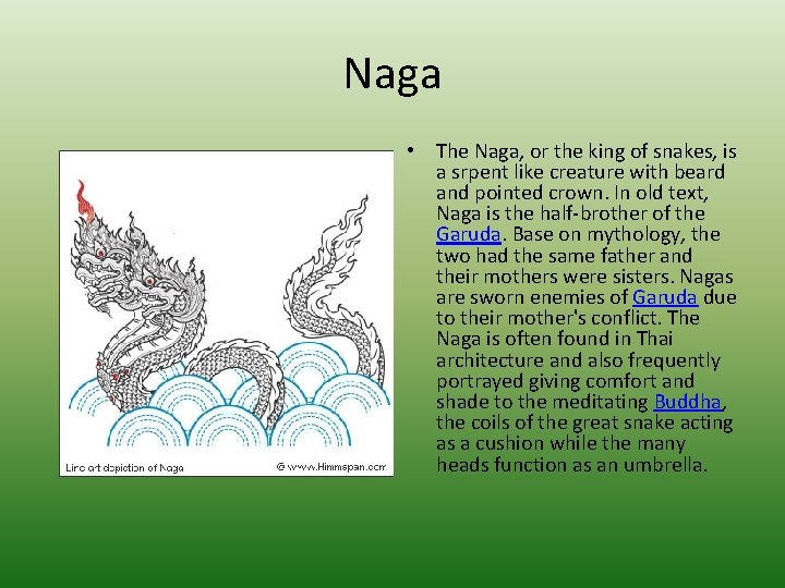 Naga • The Naga, or the king of snakes, is a srpent like creature
