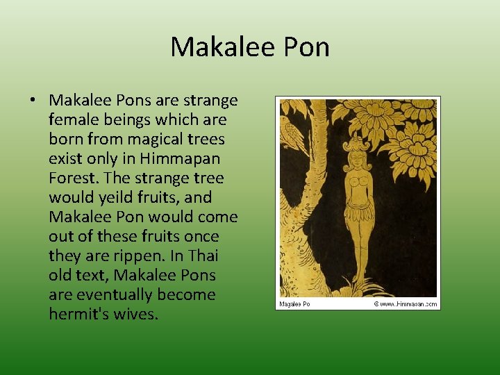 Makalee Pon • Makalee Pons are strange female beings which are born from magical