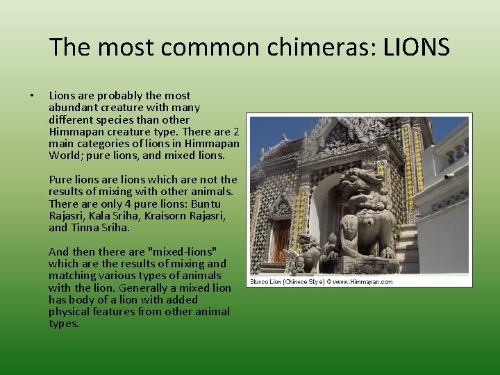 The most common chimeras: LIONS • Lions are probably the most abundant creature with