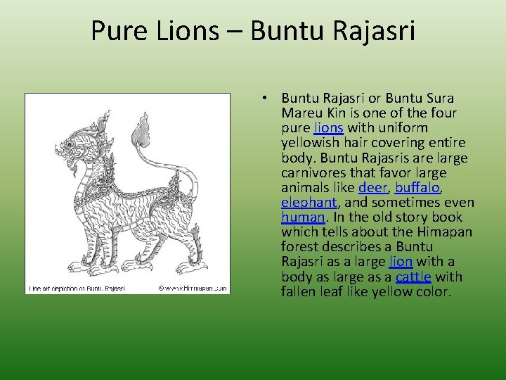 Pure Lions – Buntu Rajasri • Buntu Rajasri or Buntu Sura Mareu Kin is