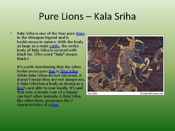 Pure Lions – Kala Sriha • Kala Sriha is one of the four pure
