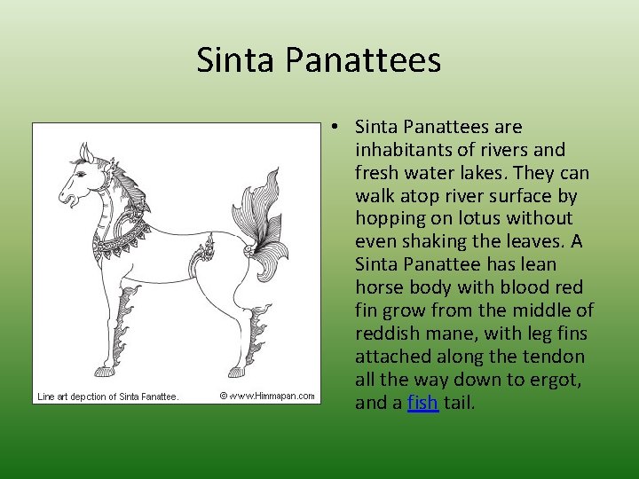 Sinta Panattees • Sinta Panattees are inhabitants of rivers and fresh water lakes. They