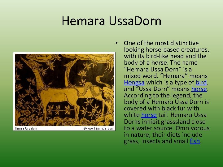 Hemara Ussa. Dorn • One of the most distinctive looking horse-based creatures, with its