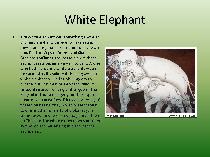 White Elephant • The white elephant was something above an ordinary elephant. Believe to