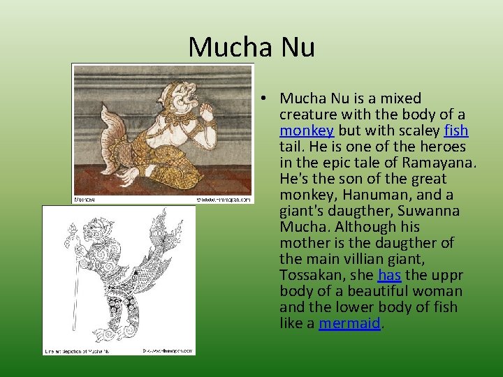 Mucha Nu • Mucha Nu is a mixed creature with the body of a