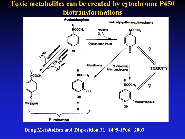 Toxic metabolites can be created by cytochrome P 450 biotransformations Drug Metabolism and Disposition
