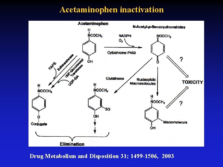 Acetaminophen inactivation Drug Metabolism and Disposition 31; 1499 -1506, 2003 