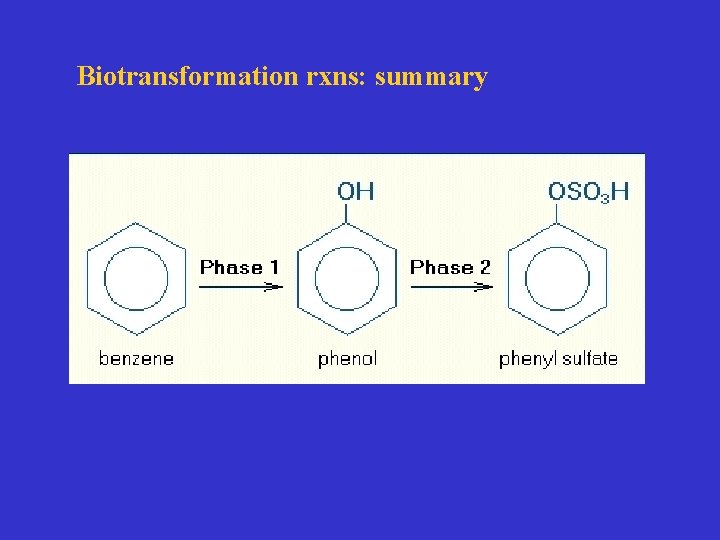Biotransformation rxns: summary 