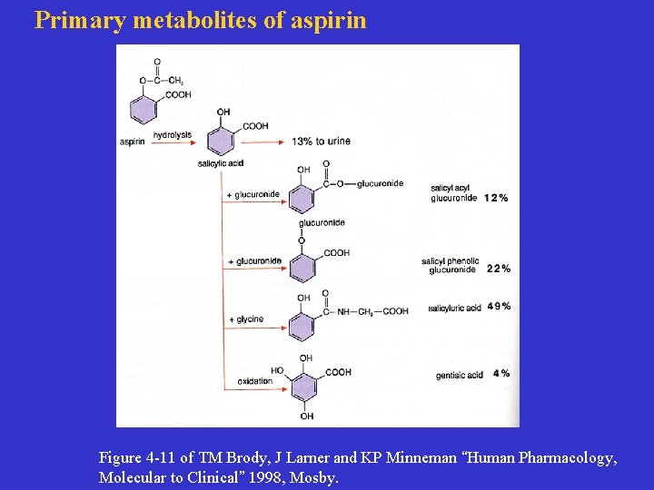 Primary metabolites of aspirin Figure 4 -11 of TM Brody, J Larner and KP