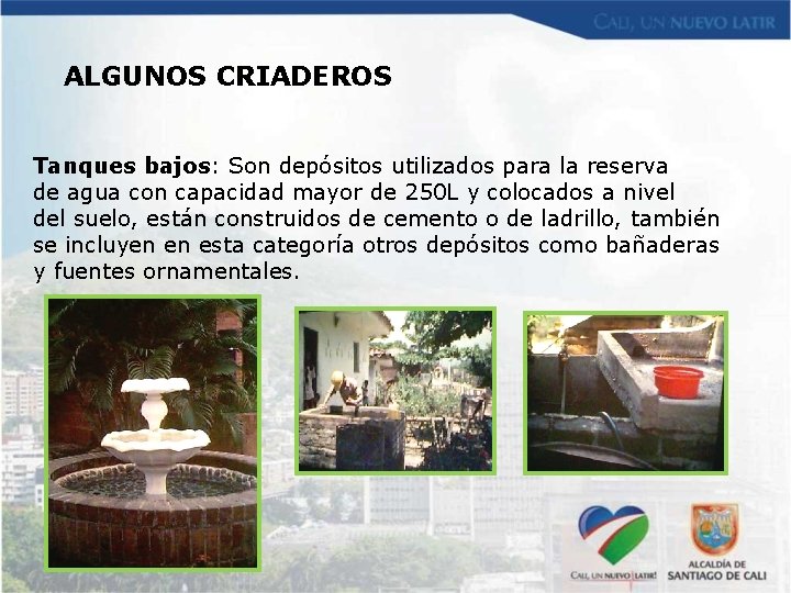 ALGUNOS CRIADEROS Tanques bajos: Son depósitos utilizados para la reserva de agua con capacidad