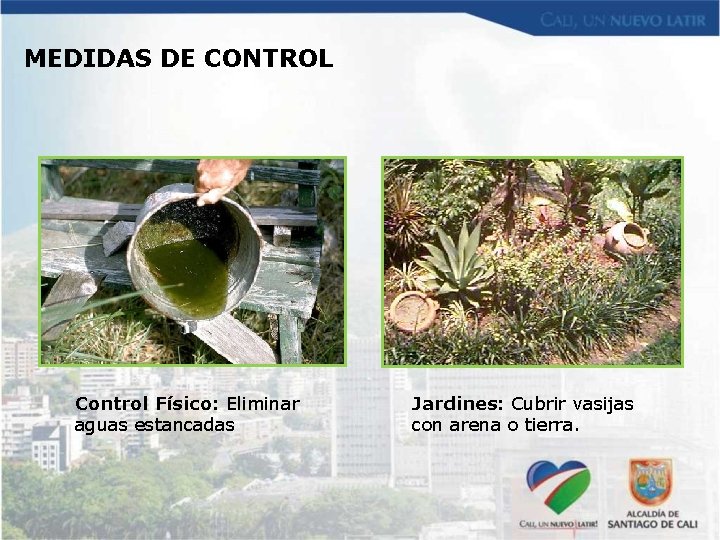 MEDIDAS DE CONTROL Control Físico: Eliminar aguas estancadas Jardines: Cubrir vasijas con arena o