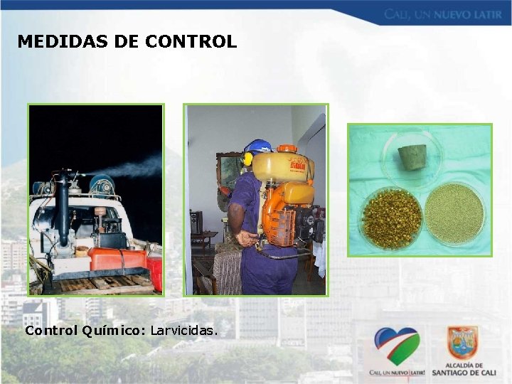 MEDIDAS DE CONTROL Control Químico: Larvicidas. 