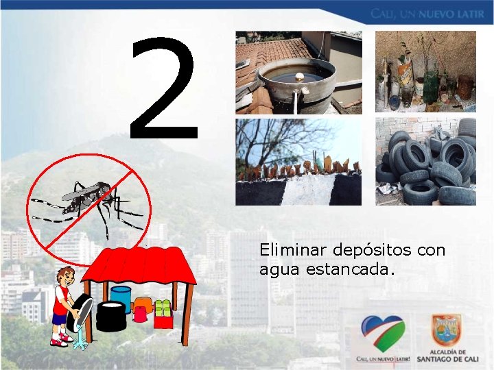 2 Eliminar depósitos con agua estancada. 