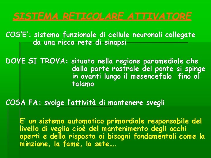 SISTEMA RETICOLARE ATTIVATORE COS’E’: sistema funzionale di cellule neuronali collegate da una ricca rete SISTEMA RETICOLARE ATTIVATORE COS’E’: sistema funzionale di cellule neuronali collegate da una ricca rete