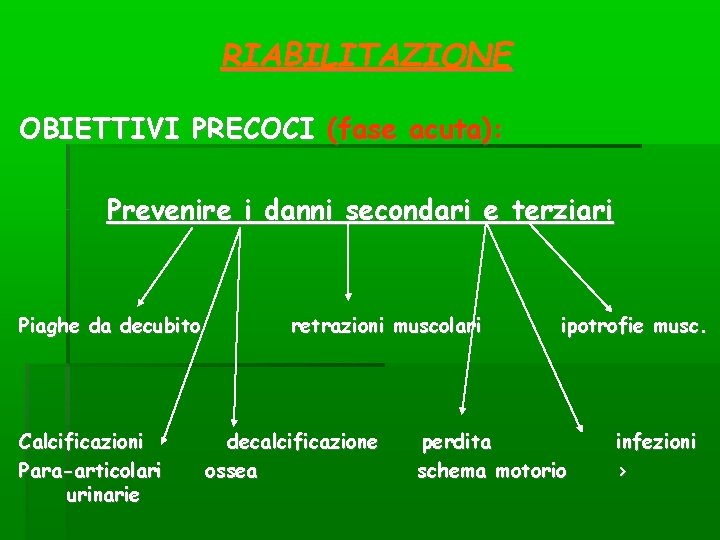 RIABILITAZIONE OBIETTIVI PRECOCI (fase acuta): Prevenire i danni secondari e terziari Piaghe da decubito RIABILITAZIONE OBIETTIVI PRECOCI (fase acuta): Prevenire i danni secondari e terziari Piaghe da decubito