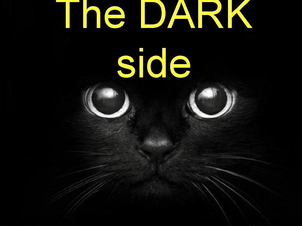 The DARK side 