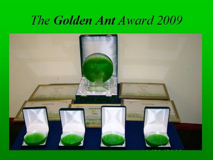 The Golden Ant Award 2009 