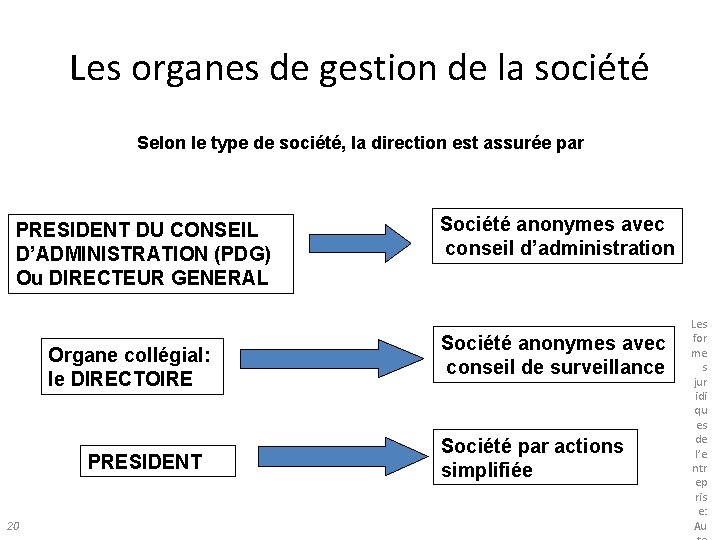 Les organes de gestion de la société Selon le type de société, la direction