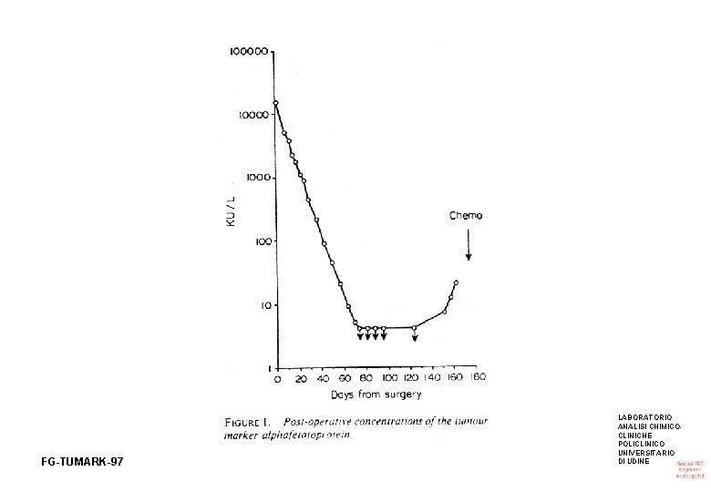 FG-TUMARK-97 LABORATORIO ANALISI CHIMICOCLINICHE POLICLINICO UNIVERSITARIO DI UDINE 